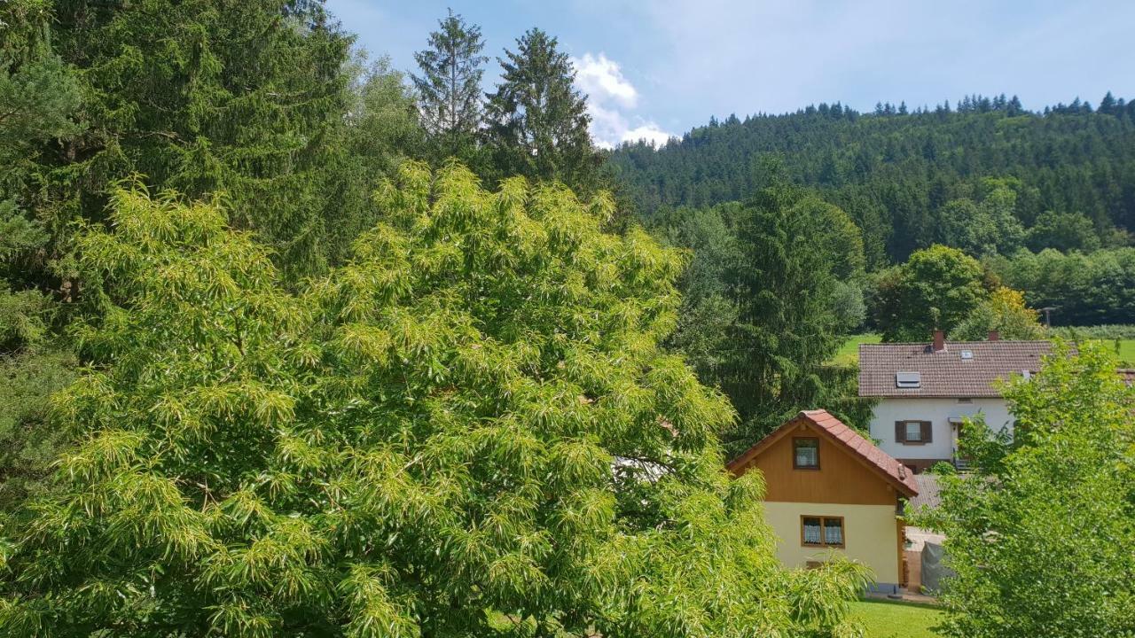 Silberkönig Schwarzwald Hotel&Restaurant Ringhotel Gutach im Breisgau Exterior foto