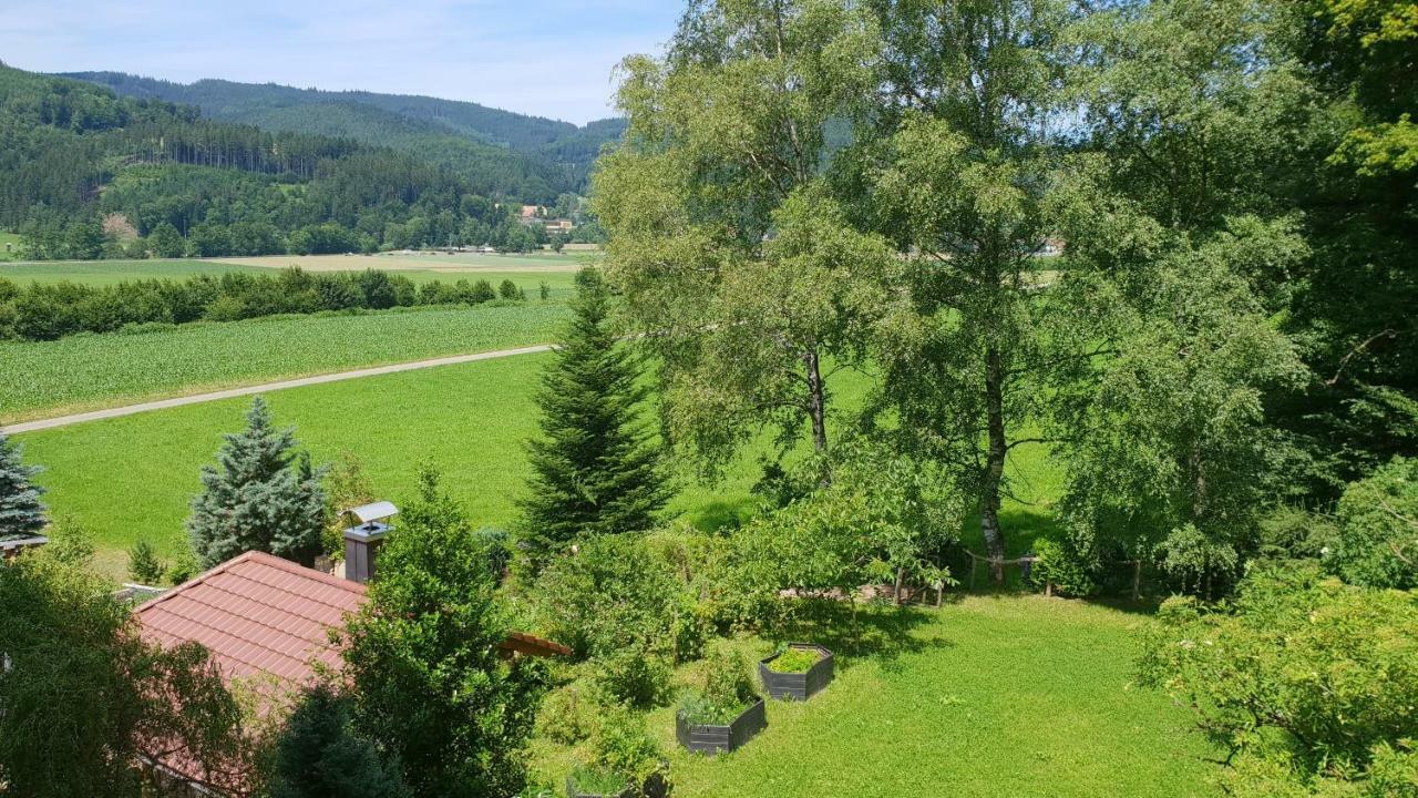 Silberkönig Schwarzwald Hotel&Restaurant Ringhotel Gutach im Breisgau Exterior foto